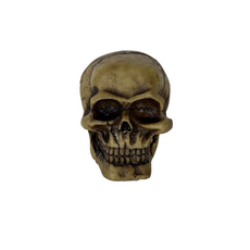 Декор Nomoy Pet Череп, 6х9х7 см