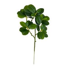 Декор ветвь фикуса