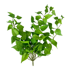 Листья сирени ампельные