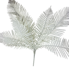 Папоротник белый