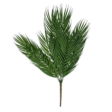 Ветвь пальмы