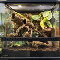 Террариумный комплект "Спутанные корни"