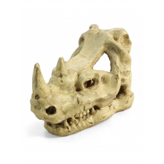 Грот Laguna Череп носорога, 160х100х120 мм