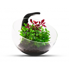 Аквариумный набор AquaLighter Wabi Set