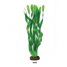 Растение Валлиснерия зеленая, 350 мм, (пакет), Laguna