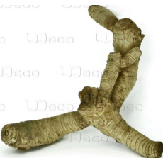 UDeco Bamboo root L - Натуральная коряга "Корень бамбука гладкий" для оформления аквариумов и террариумов, 1 шт.
