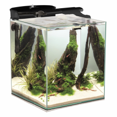 Аквариум AQUAEL SHRIMP SET DUO LED черный, 49 л (35х35х40 см) фильтр VERSAMAX 3, нагрев. COMFORT ZONE FIX 50 Вт, светильник LEDDY SLIM DUO SUNNY&PLANT 10W