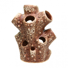 Декорация Орловская керамика 57 Актиния