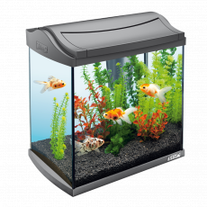 !Аквариум Tetra AquaArt LED Goldfish 30 л, антрацит
