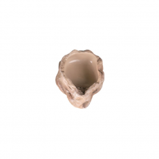 Поилка террариумная Repti-Zoo 09ERBXS, 110х77х30 мм