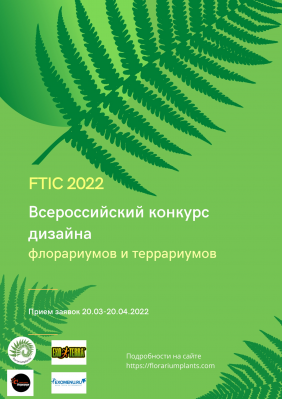 Примите участие во втором Конкурсе дизайна флорариумов и террариумов FTIC 2022.