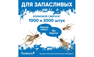 СКИДКА 20% НА ЦИХЛАЗОМ flowerhorn!