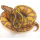 Королевский питон (Banana Enchi)