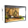 Террариум PetPetZone 60х40х40 см