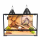 Террариум PetPetZone 60х40х40 см