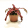 Криптантус двуполосый (Cryptanthus bivittatus «red star»), размер L
