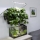 Настенный модуль AQUAEL VERSA GARDEN HYDRIPONIC PLUS для создания "зеленых стен" (3 секции по 3 горшка)