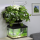 Настенный модуль AQUAEL VERSA GARDEN HYDRIPONIC PLUS для создания "зеленых стен" (3 секции по 3 горшка)