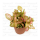 Фиттония микс (Fittonia cv.) 8'