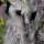 !Водопад LUCKY REPTILE Waterfall, 40х55х60 см