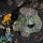 Укрытие для рептилий LUCKY REPTILE Frog Cave, имитация дерева, 15x8x5.5 см
