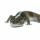 Гемитеконикс толстохвостый, Stripe  (Hemitheconyx caudicinctus)
