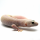 Эублефар пятнистый mack snow blazing blizzard rainwater albino