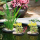 Плавающая корзина для растений Floating Plant Basket Island Ø25 cm