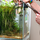 JBL PROCLEAN AQUA EX 10-35 Сифон для аквариумов высотой 10-35 см