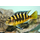 Псевдотрофеус крабро, хамелеон (Pseudotropheus crabro)