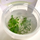 Селагинелла (Selaginella Uncinata in Vitro) меристемное