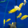 Лабидохромис еллоу (L) (Labidochromis caeruleus var. Yellow)