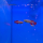 Нотобранхиус кардиналис (Nothobranchius cardinalis)