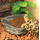 Кормушка угловая серая Nomoy Pet, 13х11х3 см