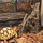 Декор коряга Nomoy Pet, 10х4х14 см