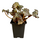 Бегония (Begonia sp)