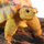 Игрушка черепаха  Nomoy Pet Angonoka L