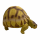 Игрушка черепаха Nomoy Pet Angonoka M