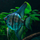 Скалярия Пиной синяя (S) (Pterophyllum scalare Pinoy)