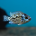 Цихлазома Блю Демпси (S) (Rocio octofasciata «Blue Jack Dempsey»)