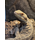 Агама бородатая Leatherback L