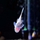 Сом Анциструс L144 Snow white (L)