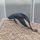 Петушок вуалевый черный (самец) (Betta splendens)