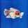 Петушок самка супердельта Дамбо (Betta Splendens)