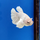 Петушок самка супердельта Дамбо (Betta Splendens)