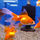 Золотая рыбка Риукин красный ML (Carassius auratus var.)