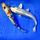 Карп кои XL (30-40 см) (Cyprinus carpio)