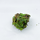 Мох (Marchantia Polymorpha)
