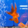 Золотая рыбка Веерохвост красный ML (Carassius auratus auratus)