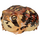 Коллекционная фигурка Дождевая лягушка Узкорот (Breviceps adspersus)